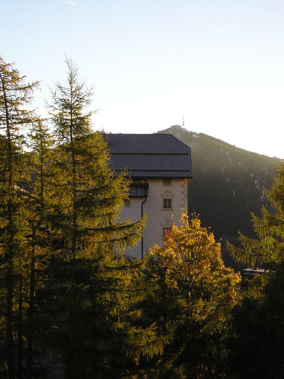 Pension Mirandola โคลฟอสโก ภายนอก รูปภาพ